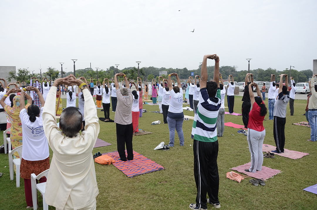 Event – World Arthritis Day