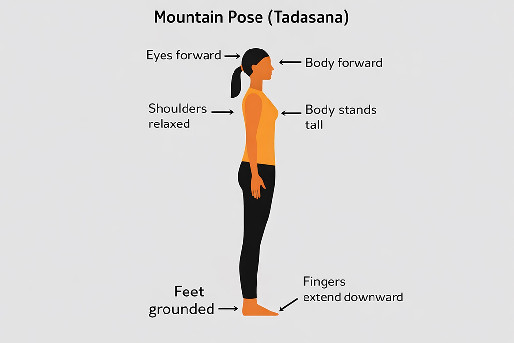 Mountain Pose (Tadasana)
