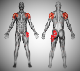 Shoulder Hip Pain